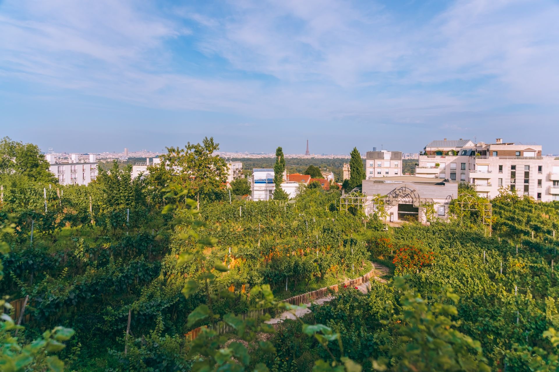 La Vigne de Suresnes